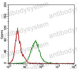 Anti-CDH16 Antibody (R2V62)