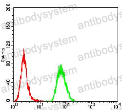 Anti-CD168/HMMR Antibody (R2V66)