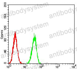 Anti-LGR5/GPR49 Antibody (R2V73)