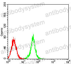 Anti-GMNN Antibody (R2V75)