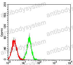 Anti-GMNN Antibody (R2V76)
