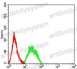 Anti-LRP6 Antibody (R2V81)