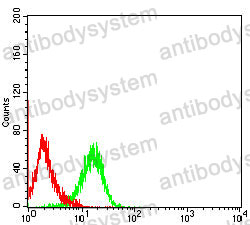 Anti-NPM3 Antibody (R2V82)