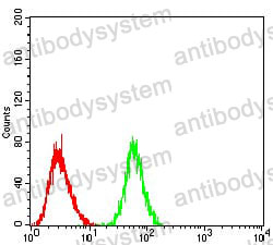 Anti-PRDM1 Antibody (R2V86)