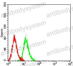 Anti-ADAP1 Antibody (R2V87)