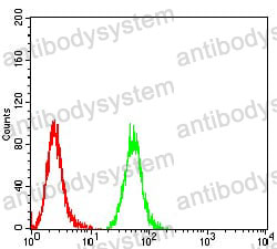 Anti-IDH1 Antibody (R2V91)