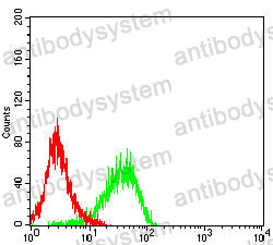 Anti-ALDH1L1 Antibody (R2V94)