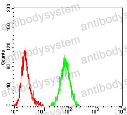 Anti-DFFB Antibody (R2W05)
