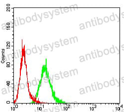 Anti-DFFB Antibody (R2W04)