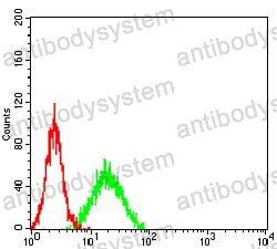 Anti-KDM4B Antibody (R2W09)