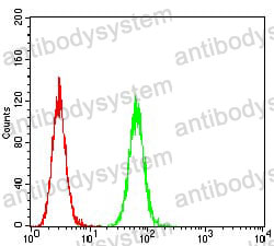 Anti-HTR3B Antibody (R2W23)