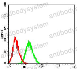 Anti-TNFRSF6B Antibody (R2W28)