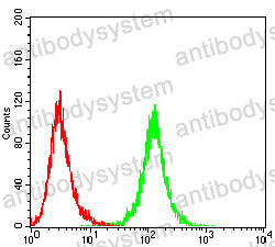 Anti-ABCA1 Antibody (R2W32)