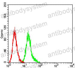 Anti-CD355/CRTAM Antibody (R2W39)