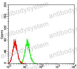 Anti-DDX58 Antibody (R2W40)