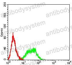 Anti-CD336/NCR2 Antibody (R2W49)