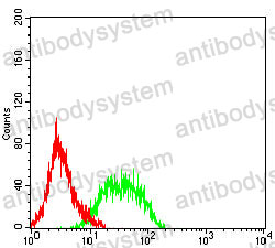 Anti-CD160 Antibody (R2W50)