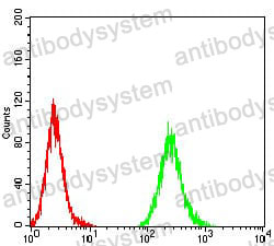 Anti-AGR2/HPC8 Antibody (R2W53)