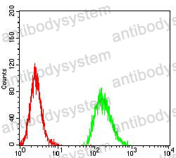 Anti-AGR2/HPC8 Antibody (R2W52)