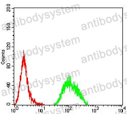 Anti-APC2 Antibody (R2W54)