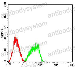 Anti-BCL10 Antibody (R2W57)