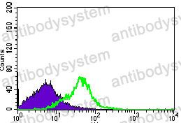 Anti-DNAL4 Antibody (R2W61)