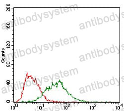 Anti-B3GALT4 Antibody (R2W64)