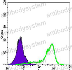 Anti-SOD1 Antibody (R2W69)