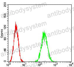 Anti-HPRT1 Antibody (R2W72)