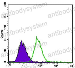 Anti-EGFR/ERBB1/HER1 Antibody (R2W76)