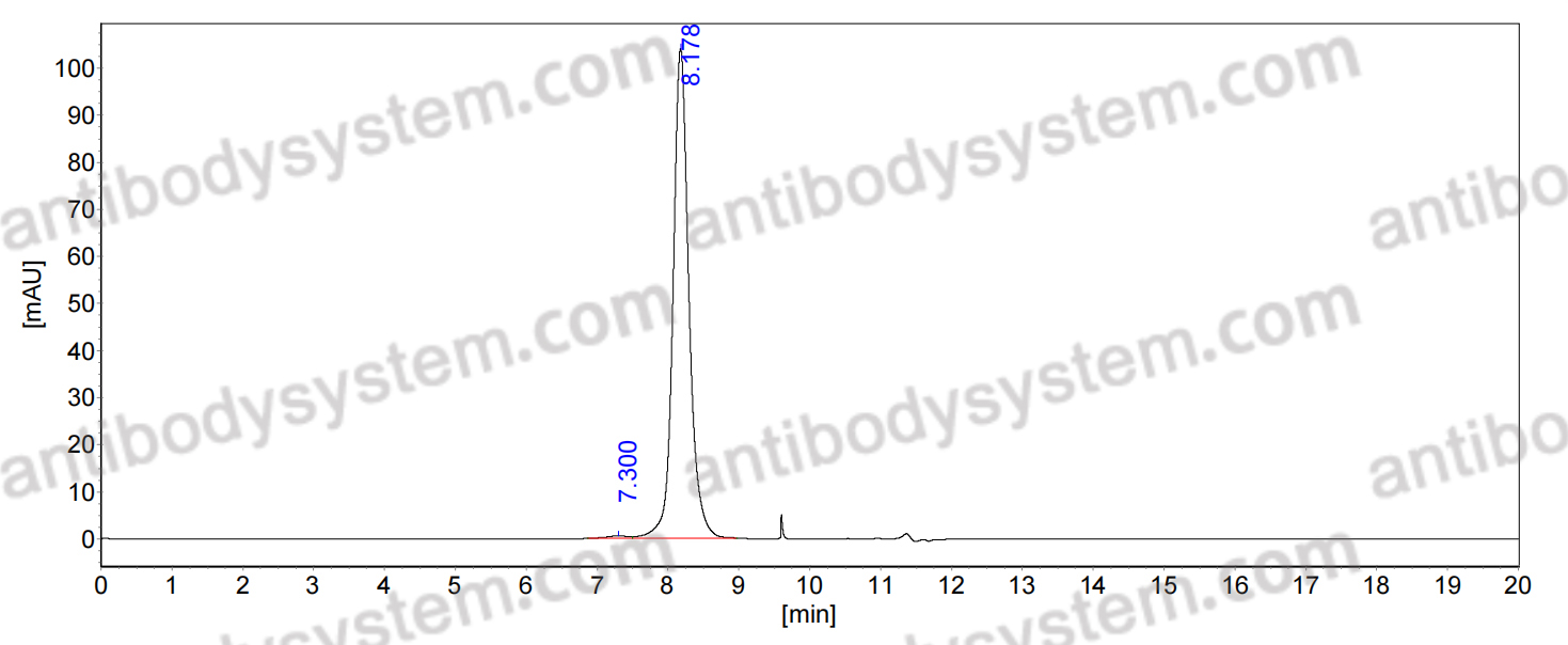 Anti-Human EGFR/ERBB1/HER1 Antibody (Fs0517)