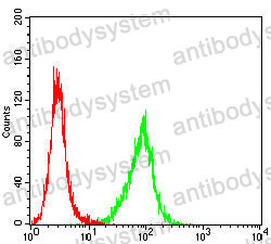 Anti-PLAU Antibody (R2W85)