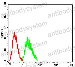 Anti-a1AT/Serpin A1/SERPINA1 Antibody (R2W96)