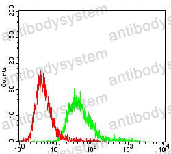 Anti-SERPINA3 Antibody (R2W97)