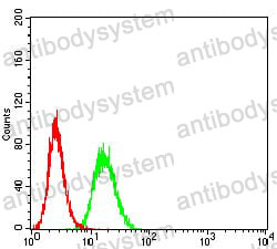 Anti-C3/Complement C3 Antibody (R2X02)
