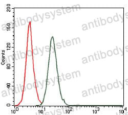 Anti-FOS Antibody (R2X09)