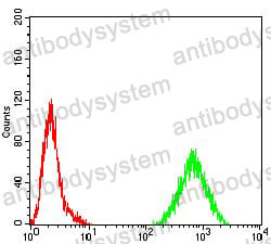 Anti-MYC Antibody (R2X11)