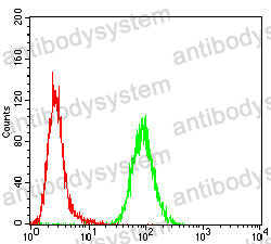 Anti-MYC Antibody (R2X12)