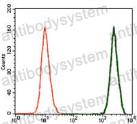 Anti-TGFB1/TGF-beta-1 Antibody (R2X19)