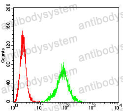 Anti-POMC/ACTH Antibody (R2X25)