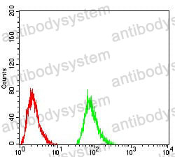 Anti-TSHB Antibody (R2X27)