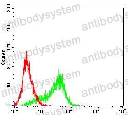 Anti-FSHB Antibody (R2X29)