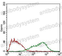 Anti-FSHB Antibody (R2X28)