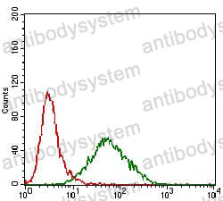 Anti-PRL Antibody (R2X31)