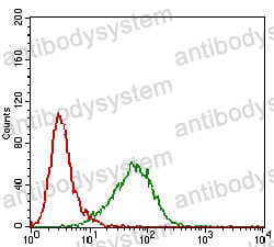 Anti-PRL Antibody (R2X32)
