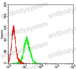 Anti-PRL Antibody (R2X33)