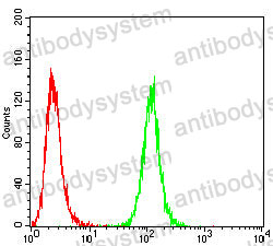 Anti-PTH Antibody (R2X36)
