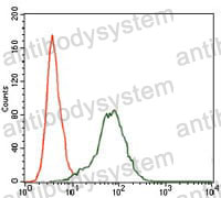 Anti-IGF2 Antibody (R2X38)