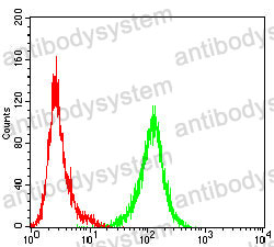 Anti-IL1A/IL1F1 Antibody (R2X45)