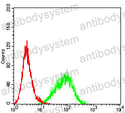 Anti-IL1A/IL1F1 Antibody (R2X44)